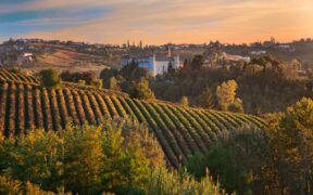 panorama delle Langhe