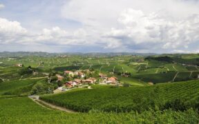 veduta delle Langhe in Piemonte