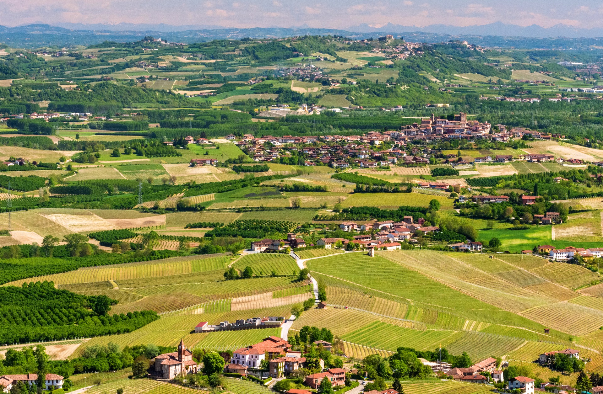 export italiano del vino