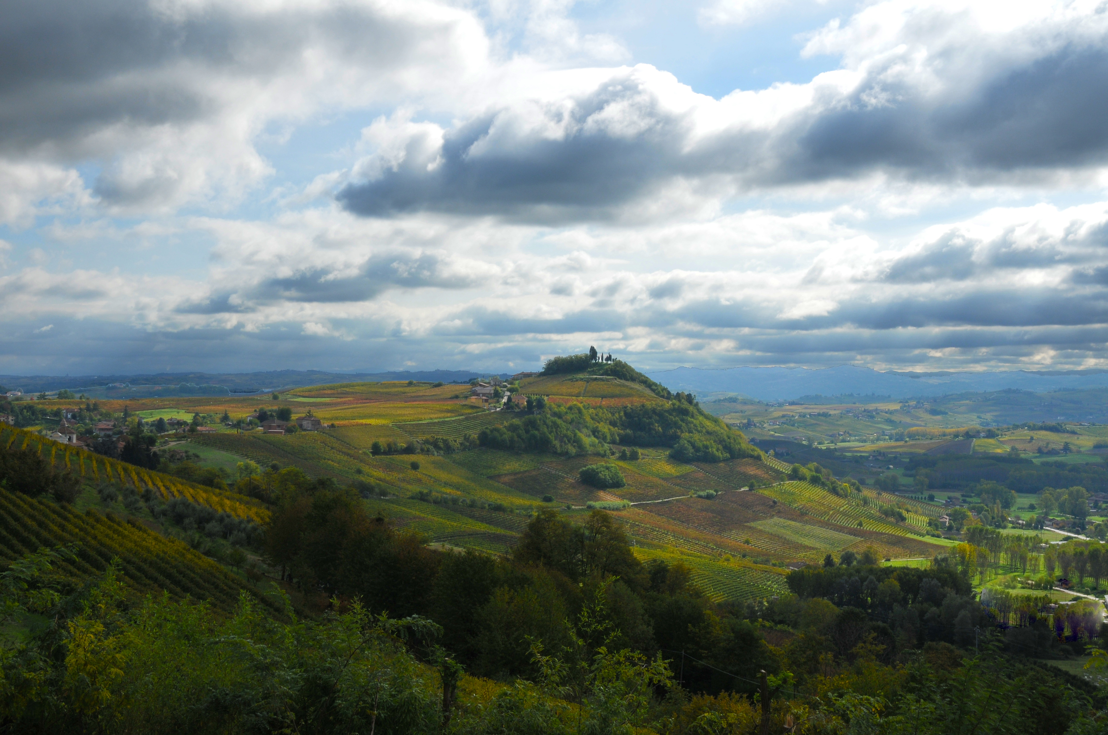 SoloBianco