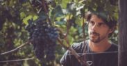 Luca Balbiano in mezzo ai suoi vigneti