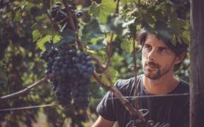 Luca Balbiano in mezzo ai suoi vigneti