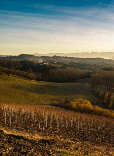 Langhe-in-Piemonte (2)