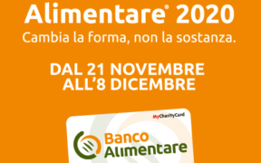 Colletta Alimentare 2020