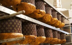 Panettoni