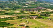 DOP economy in Piemonte