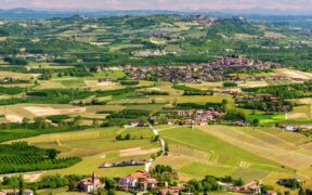 DOP economy in Piemonte