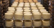 Cinque formaggi piemontesi tipici DOP