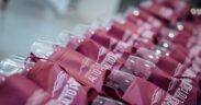 Taste Alto Piemonte