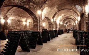 La nuova storia di Bosca
