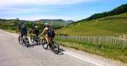 Pedalare tra i vigneti di barolo