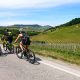 Pedalare tra i vigneti di barolo