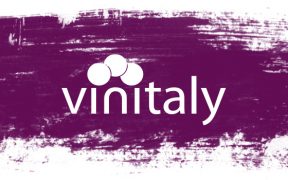 Perchè abbandonare Vinitaly