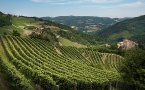 La Prima dell'Alta Langa da Italdesign