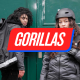 Gorillas chiude in Italia
